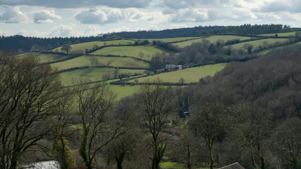 C-Suite Compensation & Succession Planning